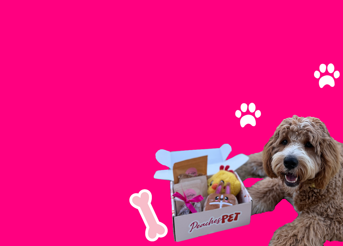 peachespet-portfolio-banner