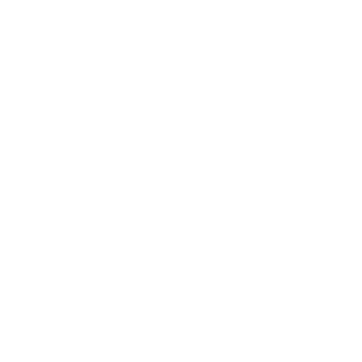 Corporate Profile