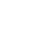 white_automotive section icon